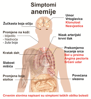 anemija i niski tlak